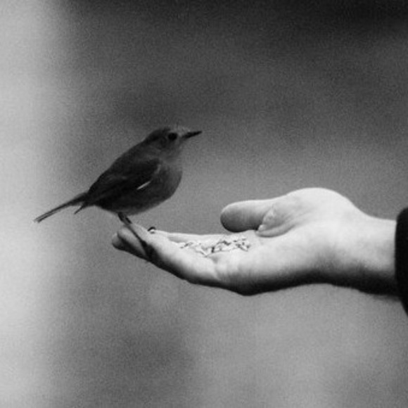 Melanie - Picture 1 of 1